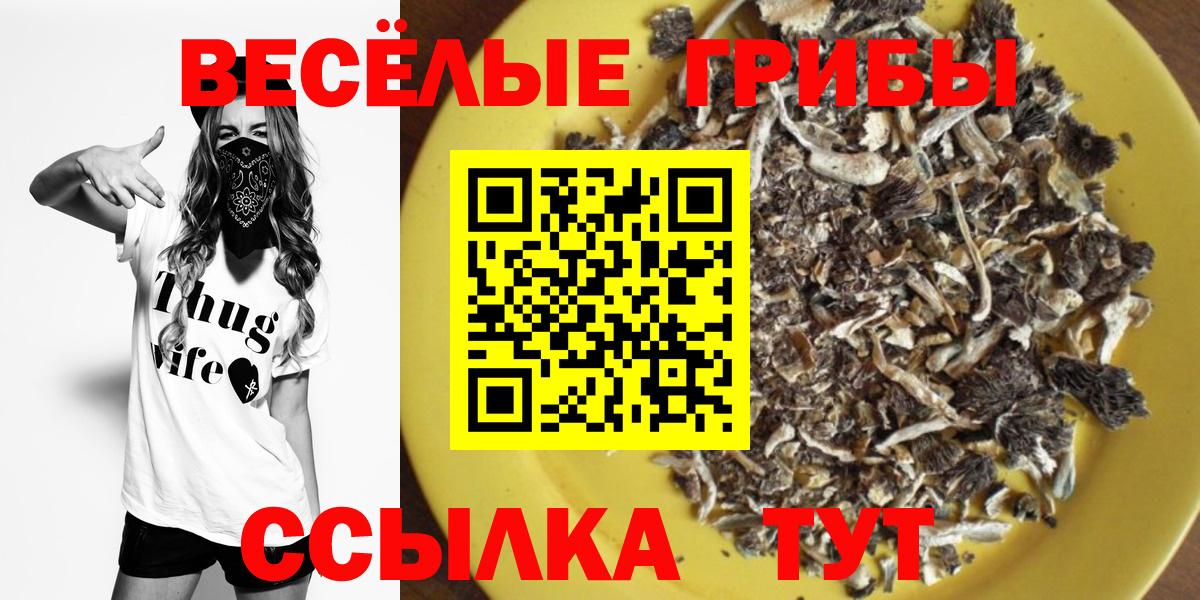 Галлюциногенные грибы мицелий  цена   Алатырь  Вход с VPN 